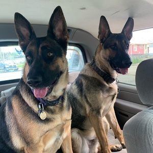 Meet your Posher, Lori